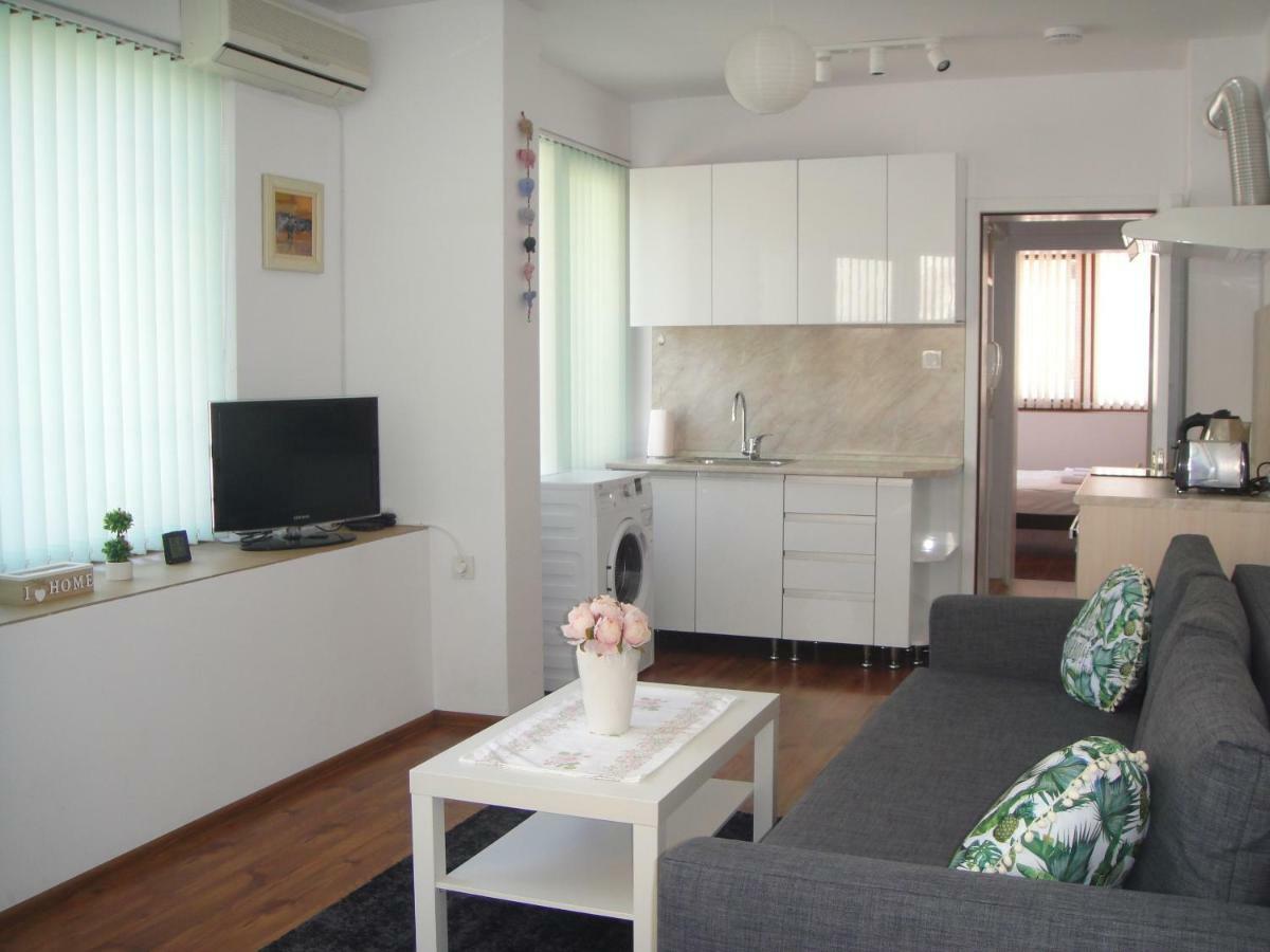 Shushi'S 1 Bedroom Central Apartment 普罗夫迪夫 外观 照片